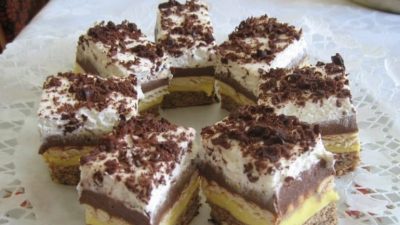Lahodný dort se sušenkami a vanilkovým pudinkem