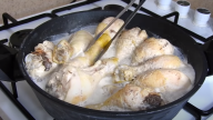 Pečené kuřecí paličky