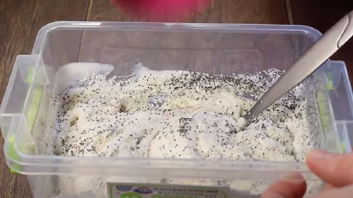 Krémový koláč s broskvemi