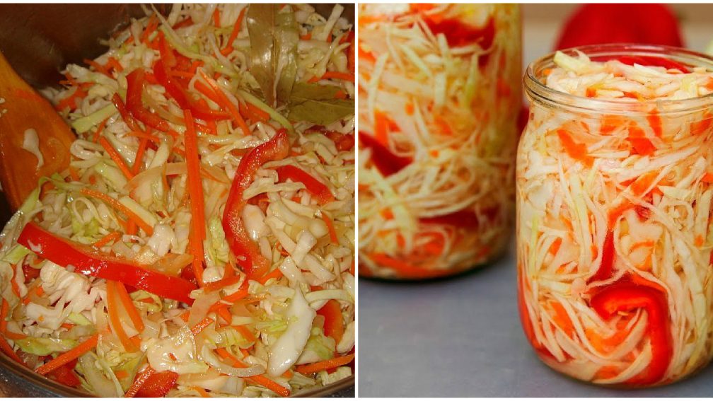 Rychl edkvi kov Sal t Va meDobroty cz