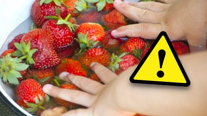 Víte, jak správně umýt jahody? A proč byste je měli ponořit do slané vody?