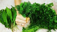 4 způsoby, jak uchovat zelené bylinky na zimu