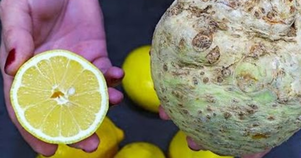 Na co je dobrý celer s citronem?