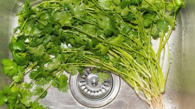 Jak udržet bylinky nebo zeleninu čerstvé