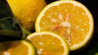 Elixír zdraví a krásy z olivového oleje a citrónu