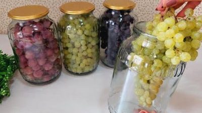 Konzervované hroznové víno ve sklenicích