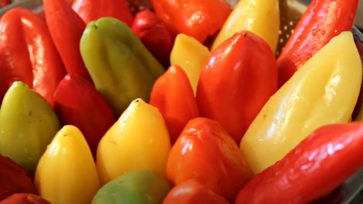 Jak uchovat paprikové lusky do zásoby