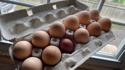 Jak poznat (ne)čerstvá vejce dřív, než je rozklepnete