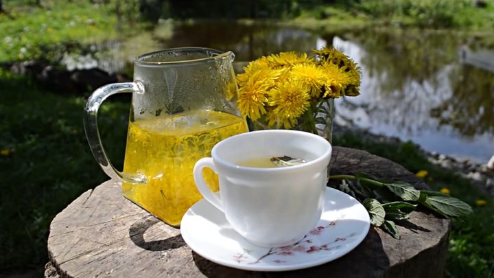 Čaj z pampeliškových květů