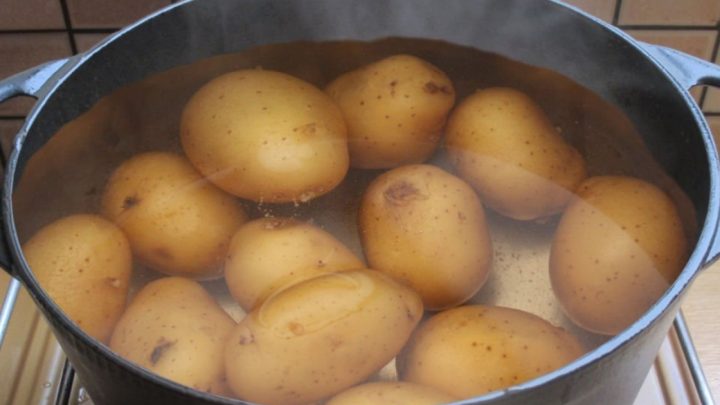 Při přípravě brambor záleží i na teplotě vody. Vařit je ve studené znamená připravit je o spoustu cenných živin