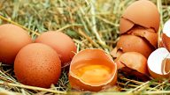Potření vajec olejem před uskladněním prodlouží jejich trvanlivost. V lednici vydrží až 3 měsíce