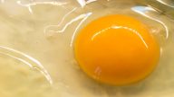 Potření vajec olejem před uskladněním prodlouží jejich trvanlivost. V lednici vydrží až 3 měsíce