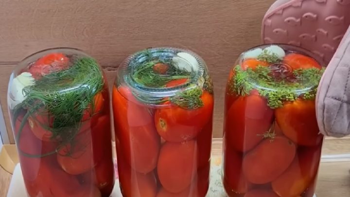 Zavařená rajčata na zimu s koprem