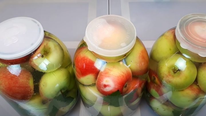 Domácí nakládaná jablka za studena