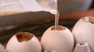Aspiková vajíčka s kuřecím masem a salátem