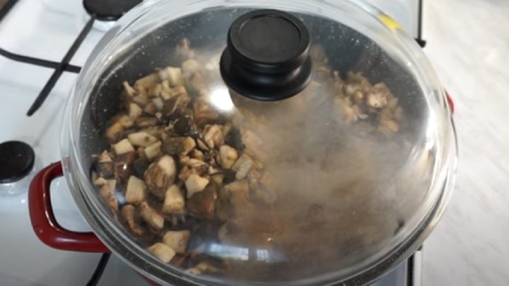 Houbové placky s cibulí a česnekem