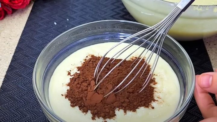 Hrnkový kefírový koláč s kakaem