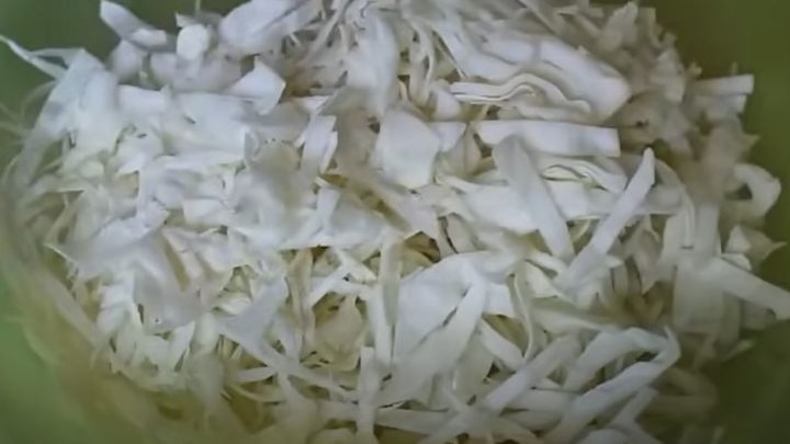 Bigos aneb dušené zelí s vepřovým masem