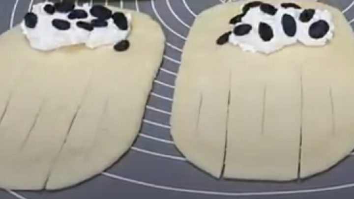 Kynuté rolky s tvarohem a rozinkami