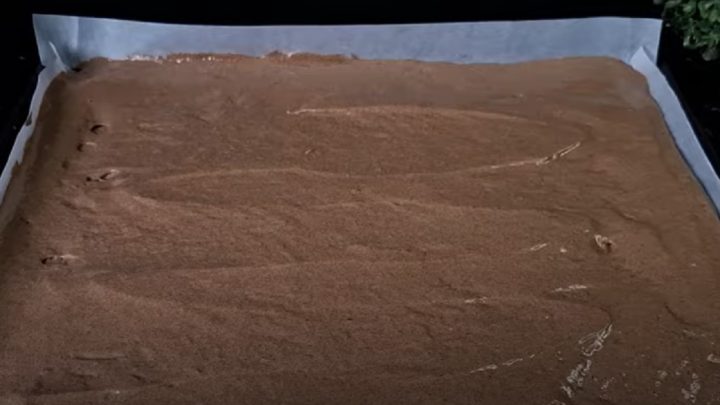 Kakaové řezy s čokoládovým krémem