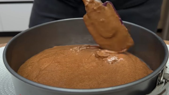 Vláčný kakaový dort s krémem a čokoládou