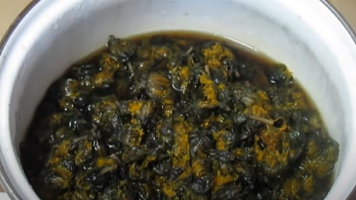 Domácí pampeliškový med jen ze 4 ingrediencí