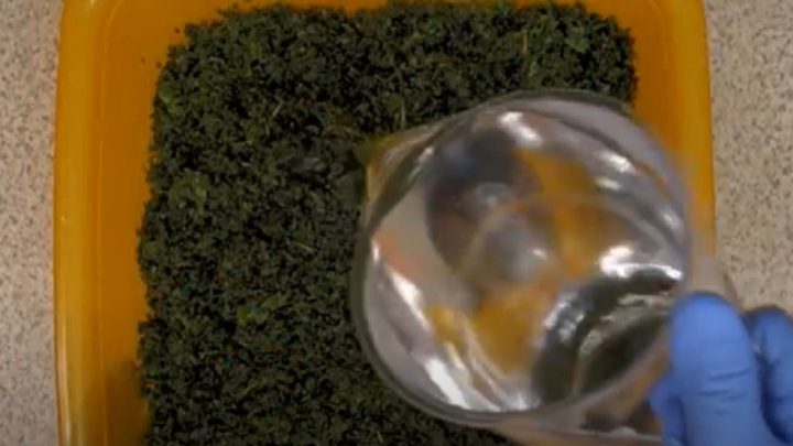 Kopřivový džus jen ze 2 ingrediencí