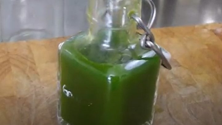 Olej z medvědího česneku jen ze 2 ingrediencí