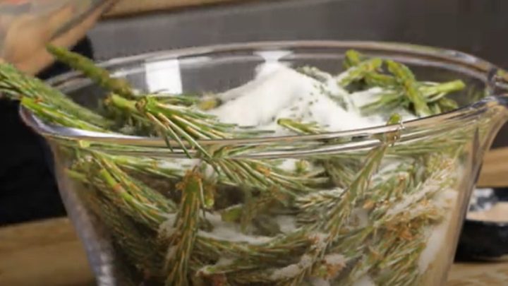 Domácí borovicový sirup jen ze 2 ingrediencí