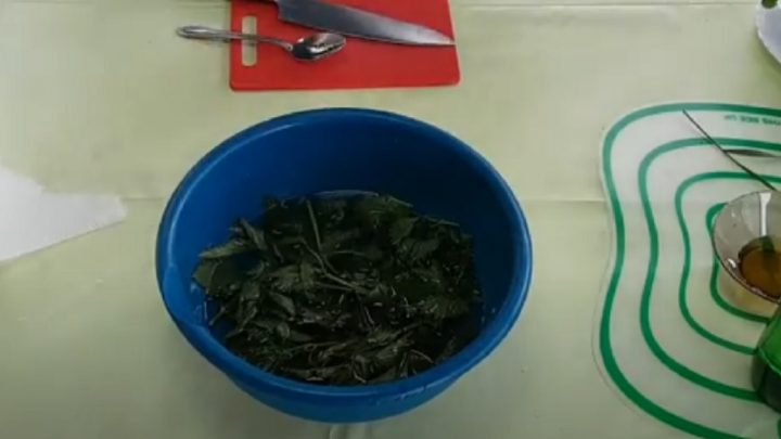 Kopřivový nápoj s limetkou a medem