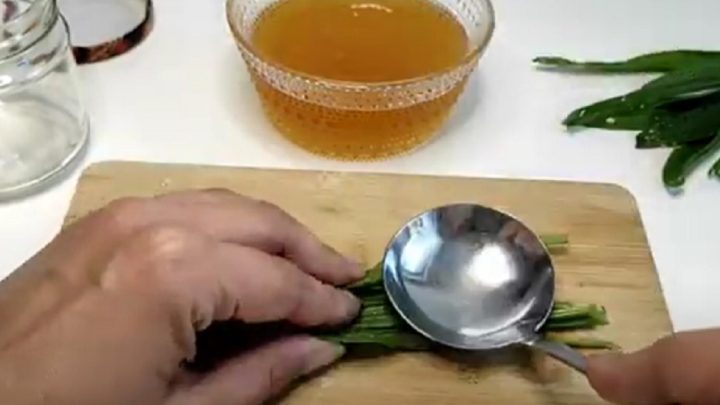 Jitrocelový sirup jen ze 2 surovin