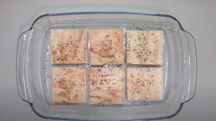 Zapečené rybí filé se sýrem a bramborami