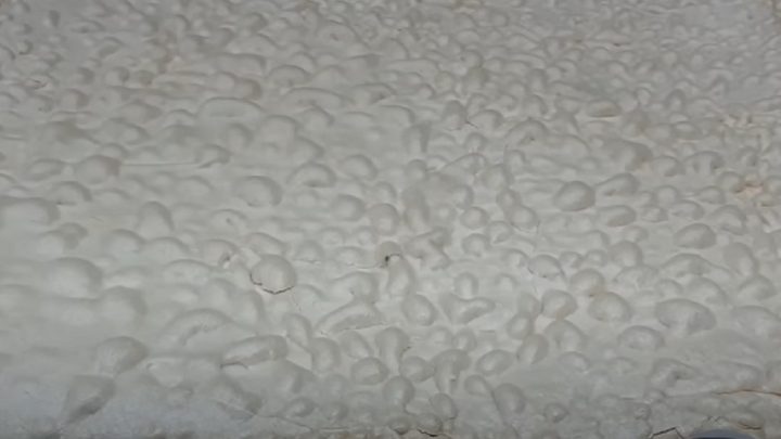 Křehká sněhová roláda s malinami