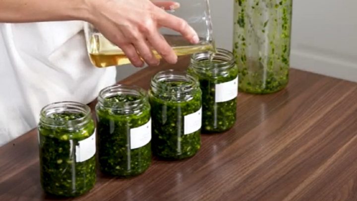 Rychlé pesto z medvědího česneku