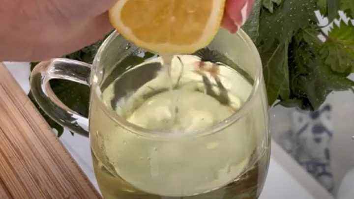 Kopřivový čaj s citronovou šťávou