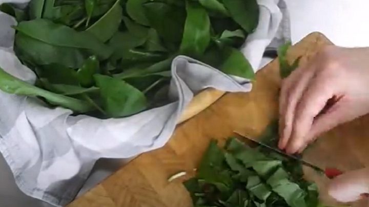 Olej z medvědího česneku jen ze 2 ingrediencí