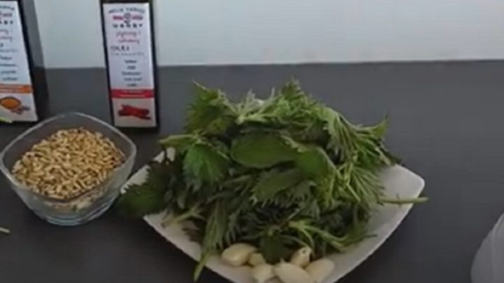 Kopřivové pesto se slunečnicovými semínky