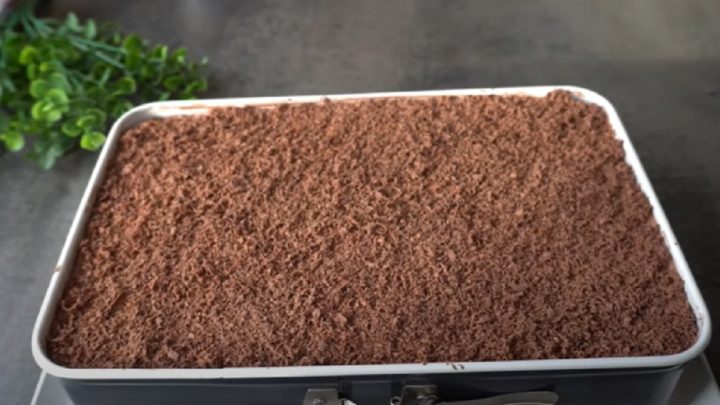 Rychlá piškotová buchta s čokoládou