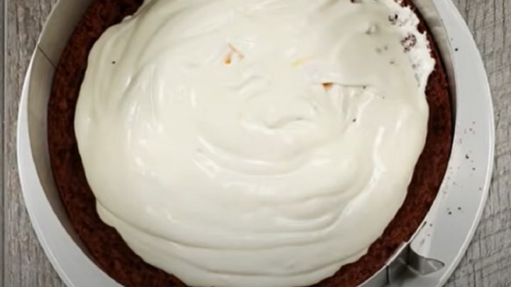 Královský dort s meruňkami a čokoládou