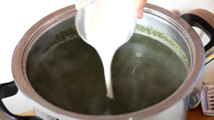 Rychlá kopřivová polévka s brambory