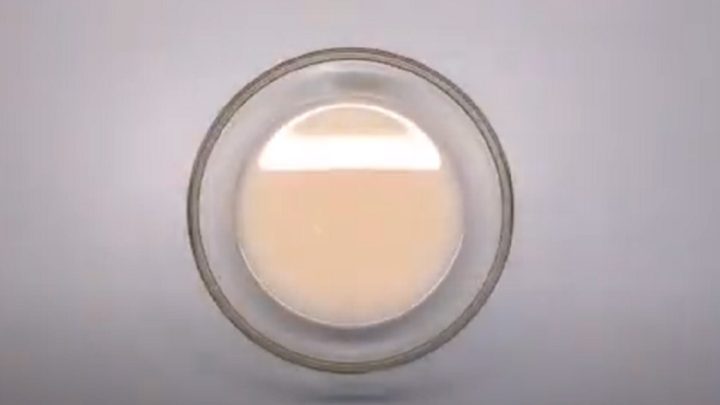 Cibulové kaiserky z kynutého těsta