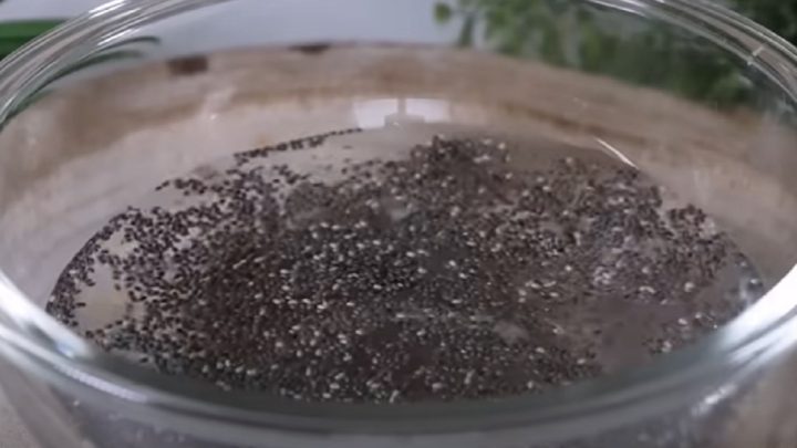 Citrónový nápoj na hubnutí s chia semínky