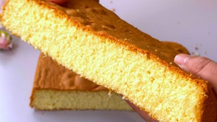 Dortový korpus na plech s medem