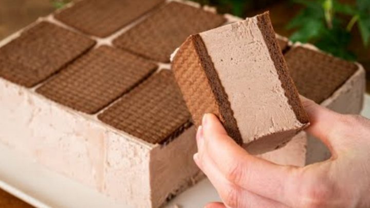 Čokoládová zmrzlina se sušenkami