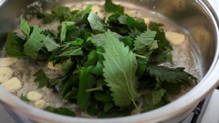 Rychlá kopřivová polévka s brambory