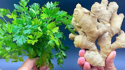 Detoxikační zázvorový nápoj na hubnutí