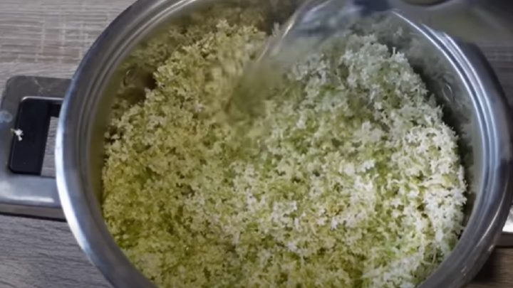 Domácí bezový sirup jen ze 4 ingrediencí