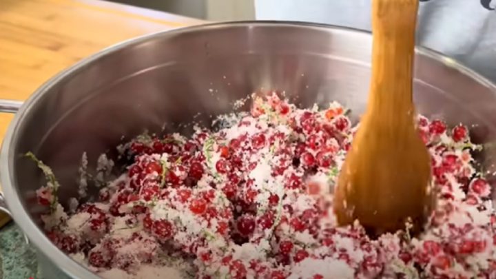 Rybízové želé jen ze 2 ingrediencí