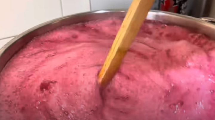 Rybízové želé jen ze 2 ingrediencí