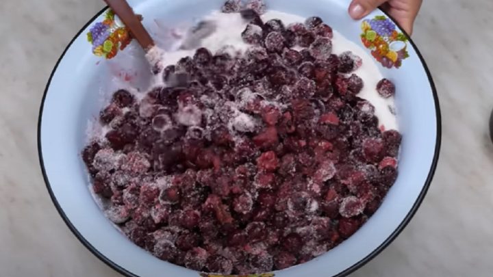 Sušené višně jen ze 2 ingrediencí